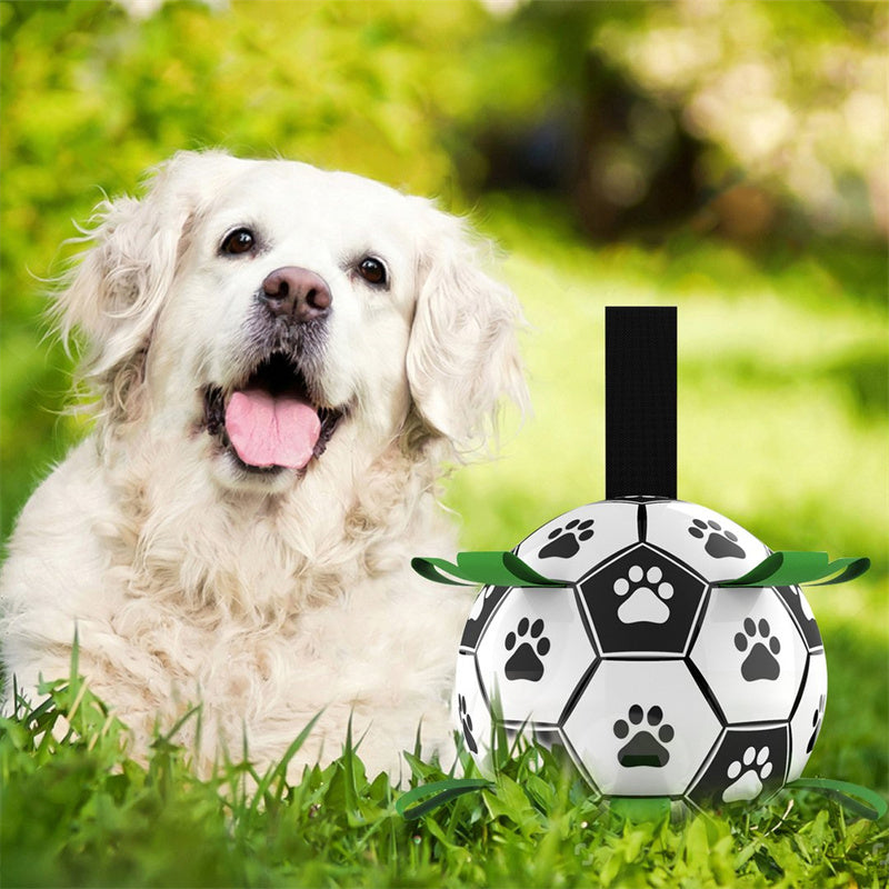 DoggyBall Speelbal – Voor Avontuur, Plezier en Een Hechtere Band met je Hond! 🐾