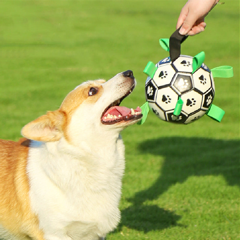 DoggyBall Speelbal – Voor Avontuur, Plezier en Een Hechtere Band met je Hond! 🐾