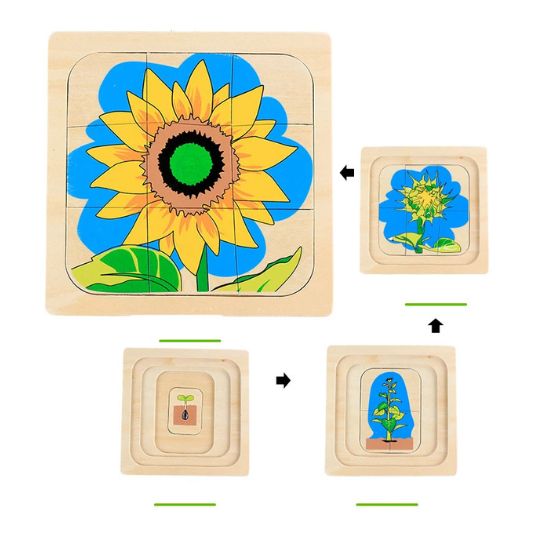 Montessori Levenscyclus Puzzel – Houten Educatief Speelgoed om de Natuur te Ontdekken (Vanaf 3 Jaar)