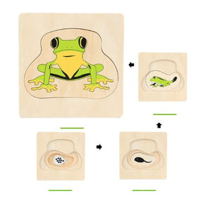 Montessori Levenscyclus Puzzel – Houten Educatief Speelgoed om de Natuur te Ontdekken (Vanaf 3 Jaar)