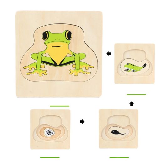 Montessori Levenscyclus Puzzel – Houten Educatief Speelgoed om de Natuur te Ontdekken (Vanaf 3 Jaar)