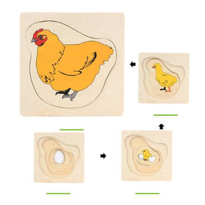 Montessori Levenscyclus Puzzel – Houten Educatief Speelgoed om de Natuur te Ontdekken (Vanaf 3 Jaar)