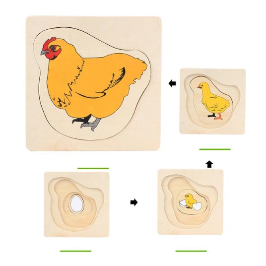 Montessori Levenscyclus Puzzel – Houten Educatief Speelgoed om de Natuur te Ontdekken (Vanaf 3 Jaar)