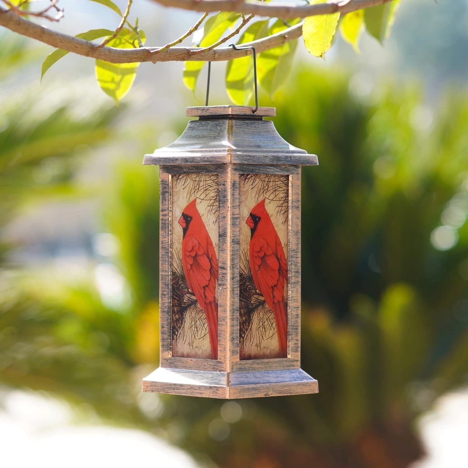 Cardinal Bird Lantern - Zonne-energie Tuindecoratie voor een Sfeervolle Buitenruimte