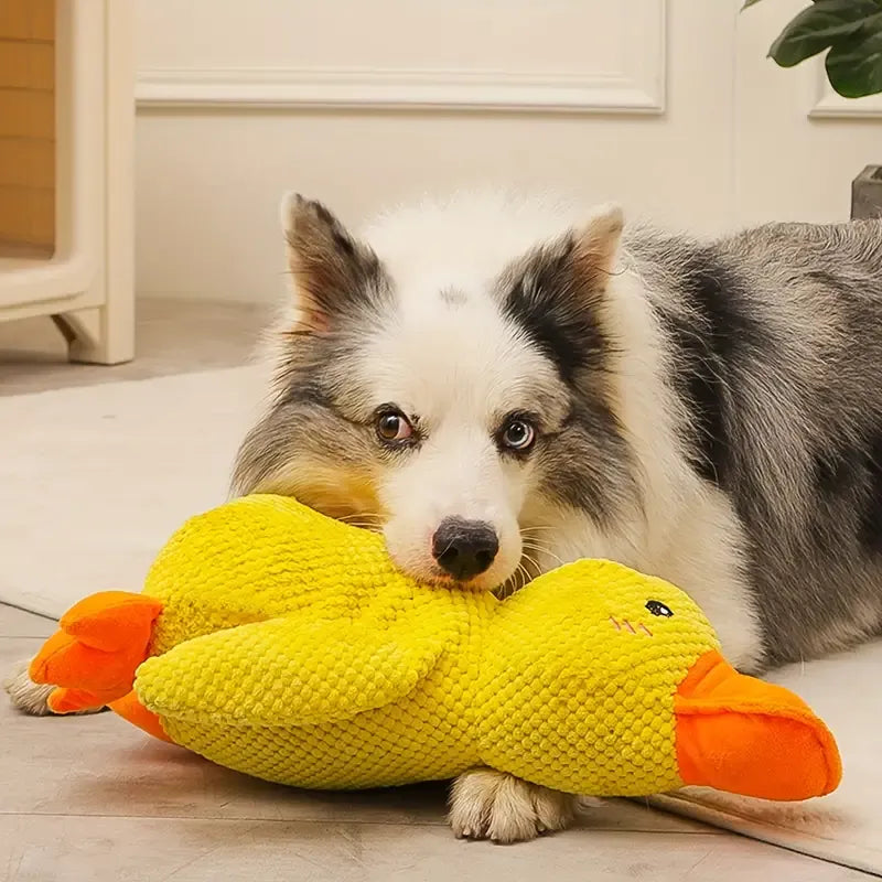 QuackBuddy Eendenspeeltje – Duurzaam Hondenspeelgoed met Geluidseffecten | Voor Vermaak & Orale Hygiëne