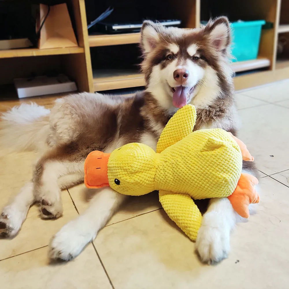 QuackBuddy Eendenspeeltje – Duurzaam Hondenspeelgoed met Geluidseffecten | Voor Vermaak & Orale Hygiëne