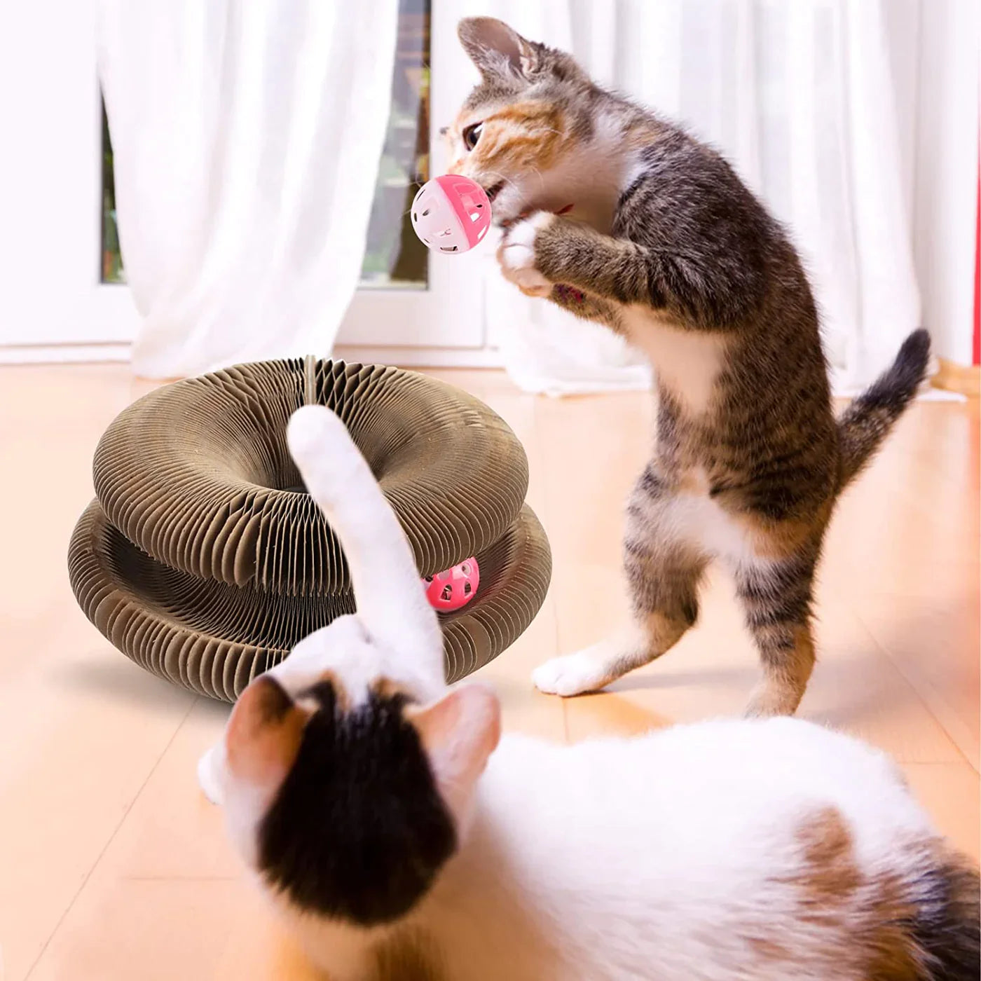 De Ideale Activiteit voor je Kat met dit Speelgoed – Verbeterd het Welzijn en de Gezondheid!