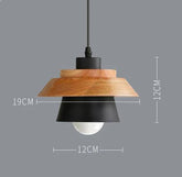 Scandinavische Metalen Hanglamp met Houten Bovenstuk – Kleur en Stijl voor Elke Ruimte